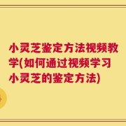 小灵芝鉴定方法视频教学(如何通过视频学习小灵芝的鉴定方法)