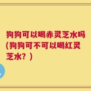 狗狗可以喝赤灵芝水吗(狗狗可不可以喝红灵芝水？)