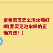 紫色灵芝怎么泡水喝好呢(紫灵芝泡水喝的正确方法！)