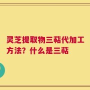 灵芝提取物三萜代加工方法？什么是三萜