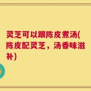 灵芝可以跟陈皮煮汤(陈皮配灵芝，汤香味滋补)