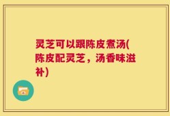 灵芝可以跟陈皮煮汤(陈皮配灵芝，汤香味滋补)