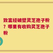 致富经破壁灵芝孢子粉？哪里有收购灵芝孢子粉
