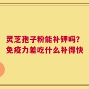 灵芝孢子粉能补钾吗？免疫力差吃什么补得快
