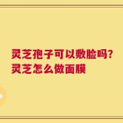 灵芝孢子可以敷脸吗？灵芝怎么做面膜