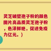 灵芝破壁孢子粉的颜色图片高品质灵芝孢子粉，色泽鲜艳，促进免疫力亿元。)