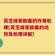 灵芝绿茶胶囊的作用机理(灵芝绿茶胶囊的功效及机理详解)