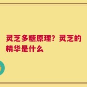 灵芝多糖原理？灵芝的精华是什么