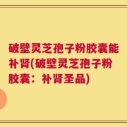 破壁灵芝孢子粉胶囊能补肾(破壁灵芝孢子粉胶囊：补肾圣品)