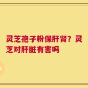 灵芝孢子粉保肝肾？灵芝对肝脏有害吗