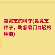 卖灵芝的种子(卖灵芝种子，助您家门口轻松种植)