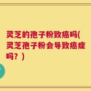 灵芝的孢子粉致癌吗(灵芝孢子粉会导致癌症吗？)