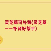 灵芝草可补肾(灵芝草——补肾好帮手)