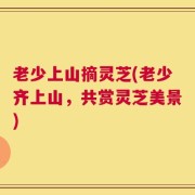 老少上山摘灵芝(老少齐上山，共赏灵芝美景)