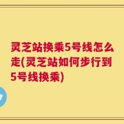 灵芝站换乘5号线怎么走(灵芝站如何步行到5号线换乘)