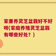 家里养灵芝盆栽好不好呀(家庭养殖灵芝盆栽有哪些好处？)