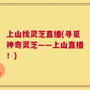上山找灵芝直播(寻觅神奇灵芝——上山直播！)