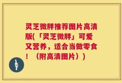 灵芝微胖推荐图片高清版(「灵芝微胖」可爱又营养，适合当做零食！（附高清图片）)