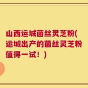 山西运城菌丝灵芝粉(运城出产的菌丝灵芝粉值得一试！)