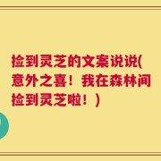 捡到灵芝的文案说说(意外之喜！我在森林间捡到灵芝啦！)