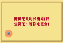 野灵芝几时长出来(野生灵芝：等你来觅食)