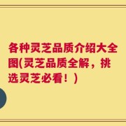 各种灵芝品质介绍大全图(灵芝品质全解，挑选灵芝必看！)