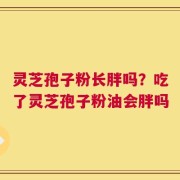 灵芝孢子粉长胖吗？吃了灵芝孢子粉油会胖吗