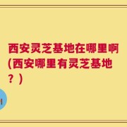 西安灵芝基地在哪里啊(西安哪里有灵芝基地？)