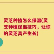 灵芝种植怎么保温(灵芝种植保温技巧，让你的灵芝高产生长)
