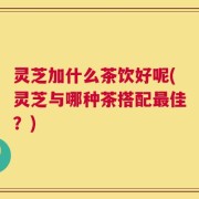 灵芝加什么茶饮好呢(灵芝与哪种茶搭配最佳？)