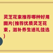 灵芝花束推荐哪种好用图片(推荐优质灵芝花束，滋补养生送礼佳选)