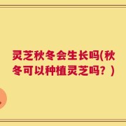 灵芝秋冬会生长吗(秋冬可以种植灵芝吗？)
