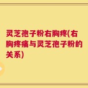 灵芝孢子粉右胸疼(右胸疼痛与灵芝孢子粉的关系)