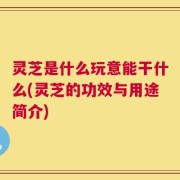 灵芝是什么玩意能干什么(灵芝的功效与用途简介)