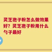灵芝孢子粉怎么做效果好？灵芝孢子粉用什么勺子最好