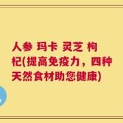 人参 玛卡 灵芝 枸杞(提高免疫力，四种天然食材助您健康)