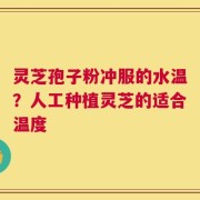 灵芝孢子粉冲服的水温？人工种植灵芝的适合温度