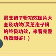 灵芝孢子粉功效图片大全及功效(灵芝孢子粉的终极功效，来看完整功效图鉴！)