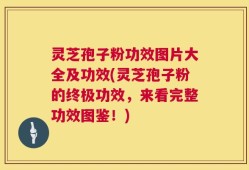 灵芝孢子粉功效图片大全及功效(灵芝孢子粉的终极功效，来看完整功效图鉴！)