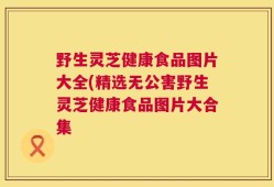 野生灵芝健康食品图片大全(精选无公害野生灵芝健康食品图片大合集