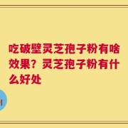 吃破壁灵芝孢子粉有啥效果？灵芝孢子粉有什么好处
