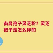 南昌孢子灵芝粉？灵芝孢子是怎么样的
