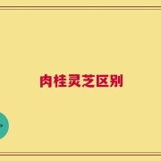 肉桂灵芝区别