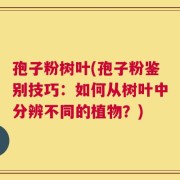 孢子粉树叶(孢子粉鉴别技巧：如何从树叶中分辨不同的植物？)
