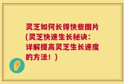 灵芝如何长得快些图片(灵芝快速生长秘诀：详解提高灵芝生长速度的方法！)