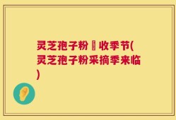 灵芝孢子粉釆收季节(灵芝孢子粉采摘季来临)