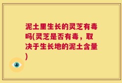泥土里生长的灵芝有毒吗(灵芝是否有毒，取决于生长地的泥土含量)