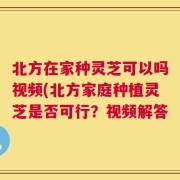 北方在家种灵芝可以吗视频(北方家庭种植灵芝是否可行？视频解答