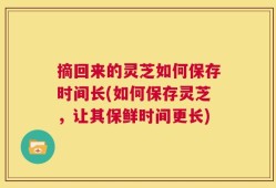 摘回来的灵芝如何保存时间长(如何保存灵芝，让其保鲜时间更长)