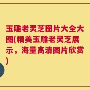 玉雕老灵芝图片大全大图(精美玉雕老灵芝展示，海量高清图片欣赏)